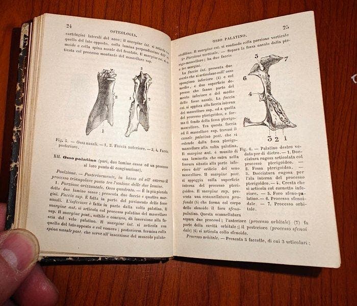 J. A. Fort; C. Ruata (traduttore) - Nuovo compendio di, Antiek en Kunst, Antiek | Boeken en Manuscripten