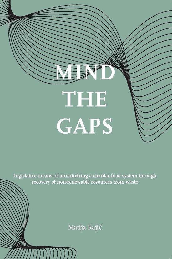 Mind the gaps! 9789462513433 Matija Kaji, Livres, Langue | Anglais, Envoi