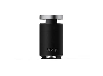 Peaq -  Party speaker Partyspeaker 100 W  - Zwart, Audio, Tv en Foto, Luidsprekerboxen, Verzenden, Nieuw, 60 tot 120 watt, Overige merken