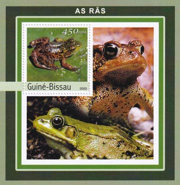Guine Bissau - 2003 - Kikkers - Postfris, Verzenden, Postfris, Dier of Natuur