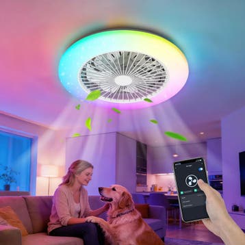 Plafondventilator met verlichting - Plafondlamp met ventilat, Verzenden