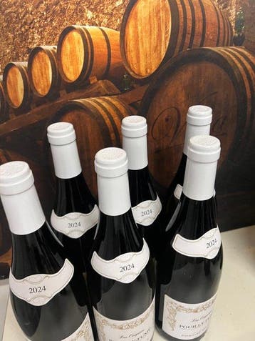 2024 Domaine Andre & Edmond Figeat Les Origines - Pouilly