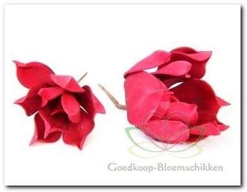 Magnolia Rood Foambloem Kort doos 12 stuks, Huis en Inrichting, Nieuw