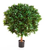 Kunstplant Laurier Bal 40 cm, Verzenden