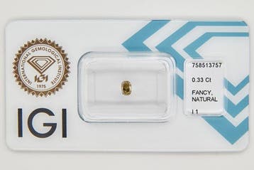 1 pcs Diamant (Couleur naturelle) - 0.33 ct - Oval - Fancy, Nieuw