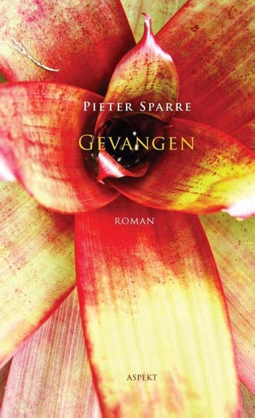 Gevangen 9789461532398 Pieter Sparre, Verzenden, Zo goed als nieuw, Pieter Sparre