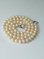 Halsketting - 8 karaat Geel goud, parel Parel - Parel -, Handtassen en Accessoires, Kettingen, Nieuw