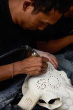 PAS DE PRIX DE RÉSERVE - Crâne de vache gris authentique, Antiquités & Art