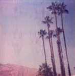 Stefanie Schneider - Stefanie Schneiders Minis Palm