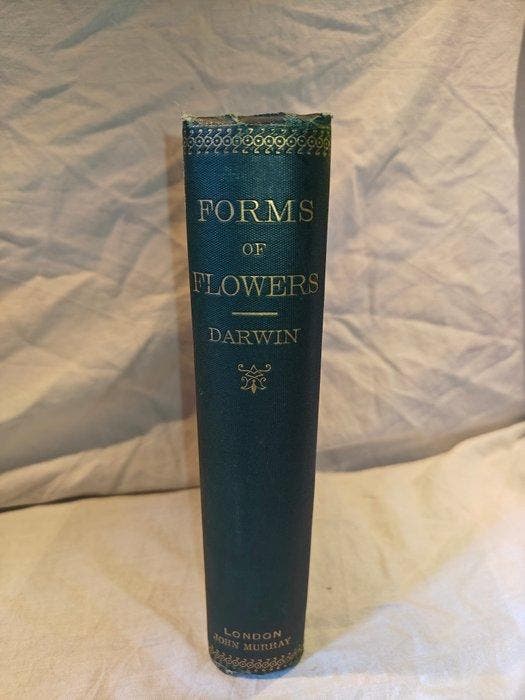 Charles Darwin - The Different Forms of Flowers or Plants of, Antiquités & Art, Antiquités | Livres & Manuscrits