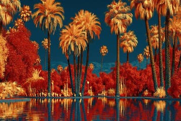 CoCo - Desert Mirage - XXL