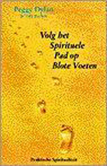 Volg het spirituele pad op blote voeten 9789055990955, Verzenden, Zo goed als nieuw, P. Dylan