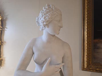 Standbeeld van Carrara-marmer van de Medici-Venus