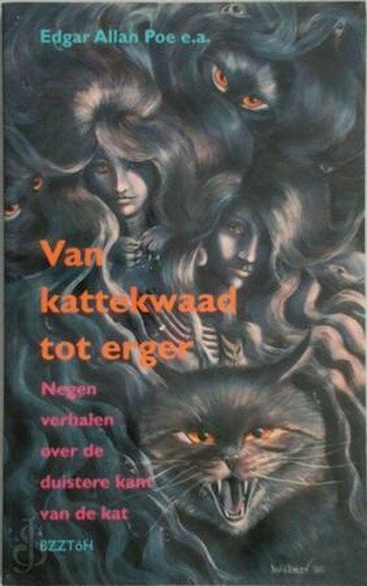 Van kattekwaad tot erger 9789062918188 Edgar Allan Poe, Boeken, Romans, Gelezen, Verzenden