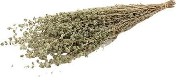 Oregano Marjorana droogbloemen in hoes Bundel 88 gram, Nieuw