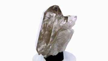 Quartz fumé - Talèfre, Mont-Blanc, Alpes, France - Hauteur :, Verzamelen