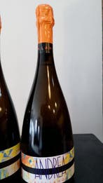 2021 Andrea Ivaldi - Alta Langa Extra Brut - 6 Bouteilles, Verzamelen, Wijnen, Nieuw