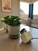 Osram - Dieter Witte - Lamp - 41601 - Roestvrij staal