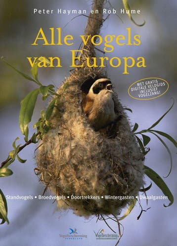 Alle vogels van Europa 9789052107202 Peter Hayman, Boeken, Verzenden, Zo goed als nieuw, Peter Hayman