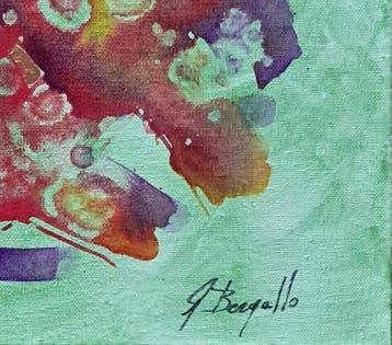 Giorgio Bergallo - SUCCO DI FRAGOLA