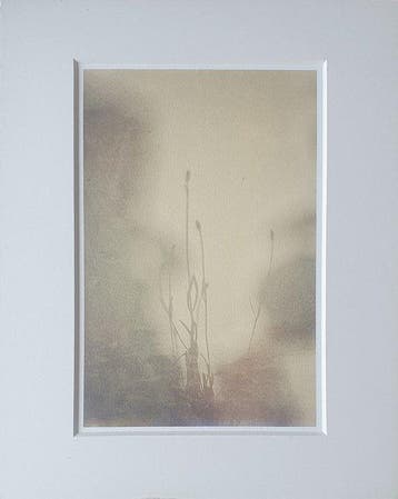 Annemiek van der Kuil - Remember Lavender