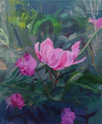 Della Goinne - Wild Rose - Wild Anatomy Series