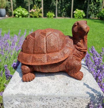 Beeldje - Turtle - IJzer