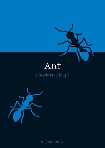 Ant - Sleigh, Verzenden, Nieuw