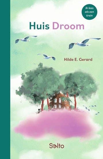 Huis Droom / Ik lees als een trein 9789002284335, Verzenden, Zo goed als nieuw, Hilde E. Gerard