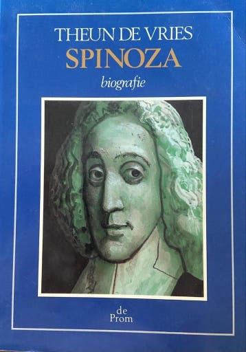 Spinoza 9789068012927 Vries, Verzenden, Vries
