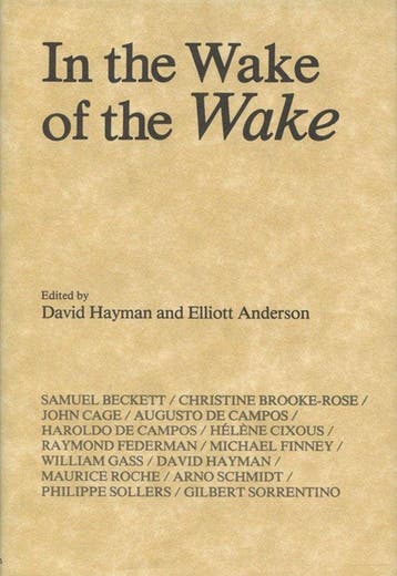 In The Wake Of The Wake 9780299076009 David Hayman, Verzenden, David Hayman