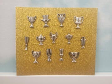 FC Barcelona - Verzameling zilveren trofee-speldjes., Verzamelen, Nieuw