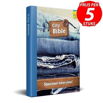 Nederlands Nieuwe Testament Bijbel Evangelisatie - 2010, Verzenden, Nieuw
