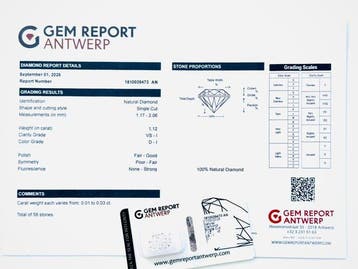 Zonder minimumprijs - 58 pcs Diamant (Natuurlijk) - 1.12 ct, Nieuw