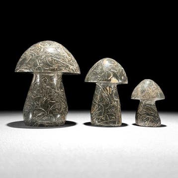 Bel ensemble de 3 pièces en forme de champignon Turritella., Antiquités & Art