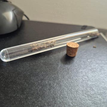 fulgurite dans un tuyau Support de corps entier pour, Verzamelen