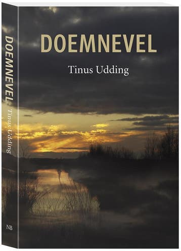 Doemnevel 9789033009891 Tinus Udding, Verzenden, Zo goed als nieuw, Tinus Udding