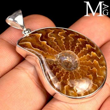 Jurassic Jewellery - Zilveren hanger van sterling-zilver met