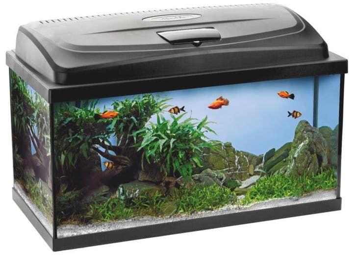 Osaka Classic aquarium 80cm recht complete set, Animaux & Accessoires, Poissons | Aquariums & Accessoires, Enlèvement ou Envoi