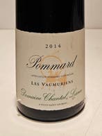 2014 Domaine Chantal Lescure, Pommard Les Vaumuriens -, Nieuw