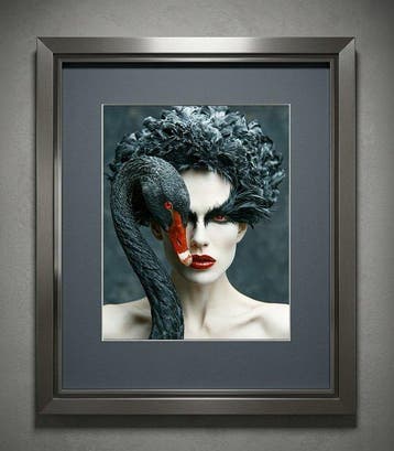 Aiana Roz - Black Swan: Ethereal Duality - Fine Art