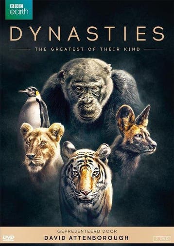Dynasties op DVD, Verzenden, Nieuw in verpakking