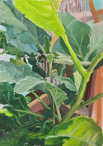Della Goinne - Solanum Melongena - Wild Anatomy Series