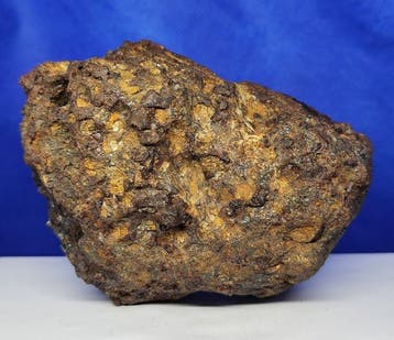 PALLASITE meteoriet. SERICHO (Kenia, 2016) Volledig