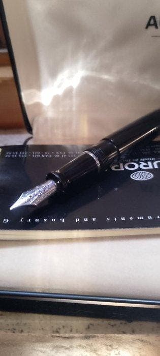 Aurora - Sans prix de réserve - Stylo à plume, Collections, Stylos