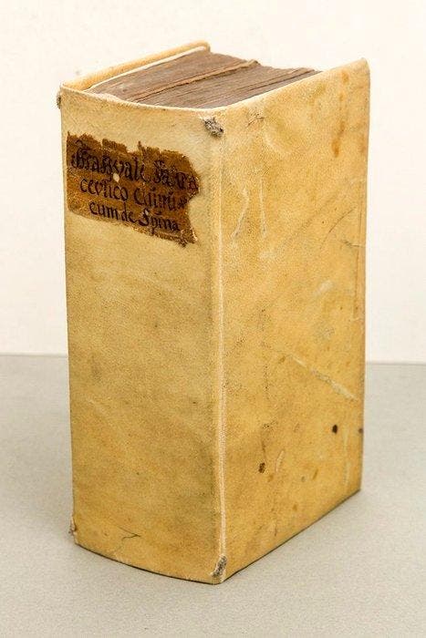 Davidis de Spina - Manuale sive Lexicon, Antiquités & Art, Antiquités | Livres & Manuscrits