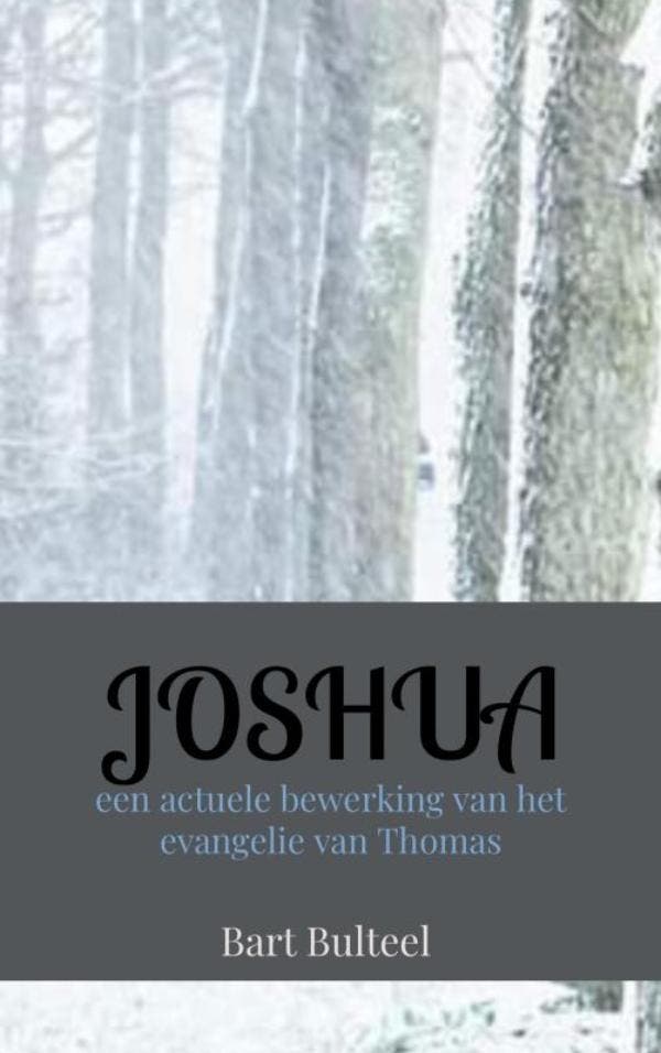 JOSHUA 9789464350494 Bart Bulteel, Boeken, Filosofie, Gelezen, Verzenden