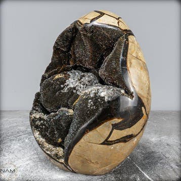 Zeer decoratieve septaria Druse, met calcietkristallen-
