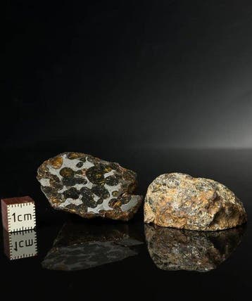 Météorite de Sericho Pallasites - 85.66 g - (2)