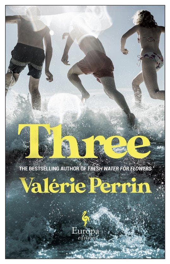 Three 9781787703766 Valérie Perrin, Boeken, Taal | Engels, Gelezen, Verzenden